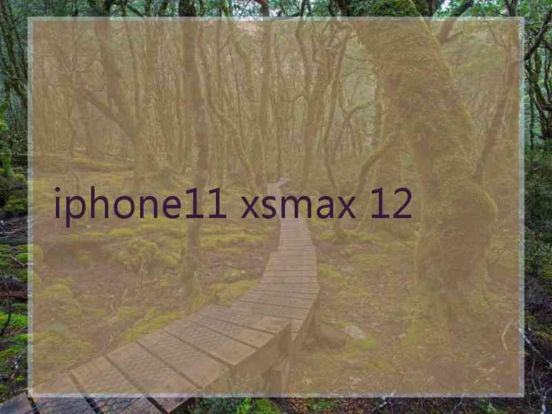 iphone11 xsmax 12