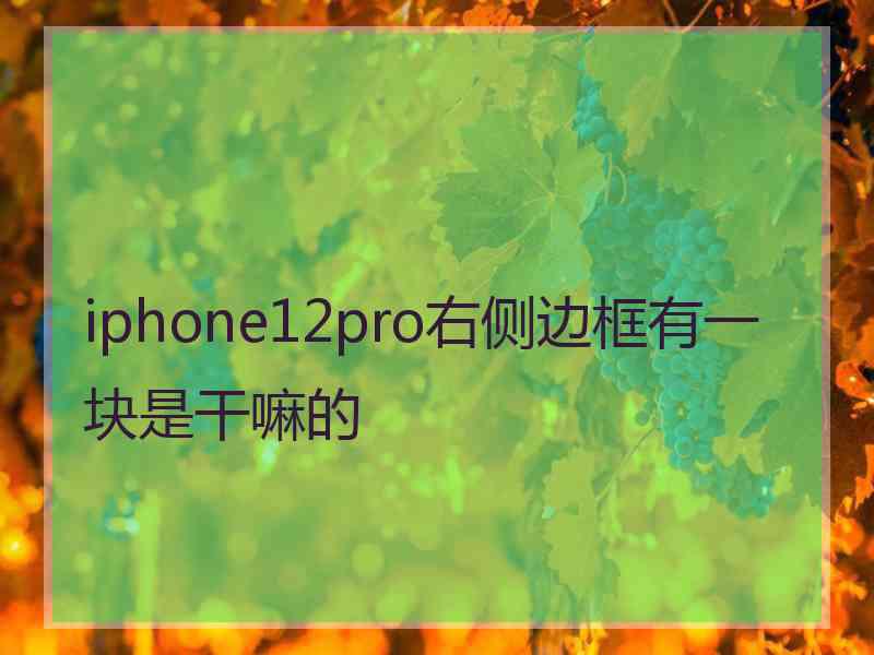 iphone12pro右侧边框有一块是干嘛的