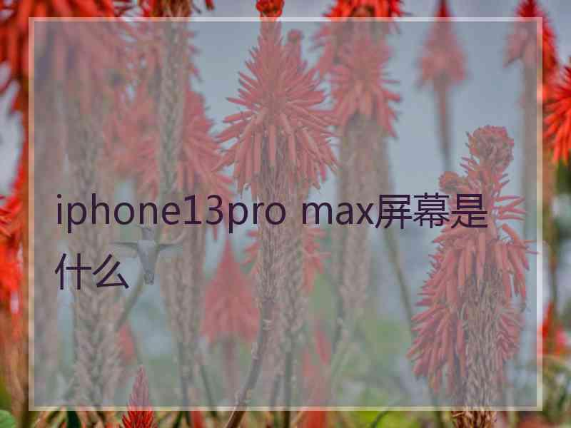 iphone13pro max屏幕是什么