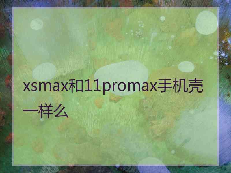 xsmax和11promax手机壳一样么