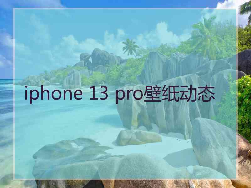 iphone 13 pro壁纸动态