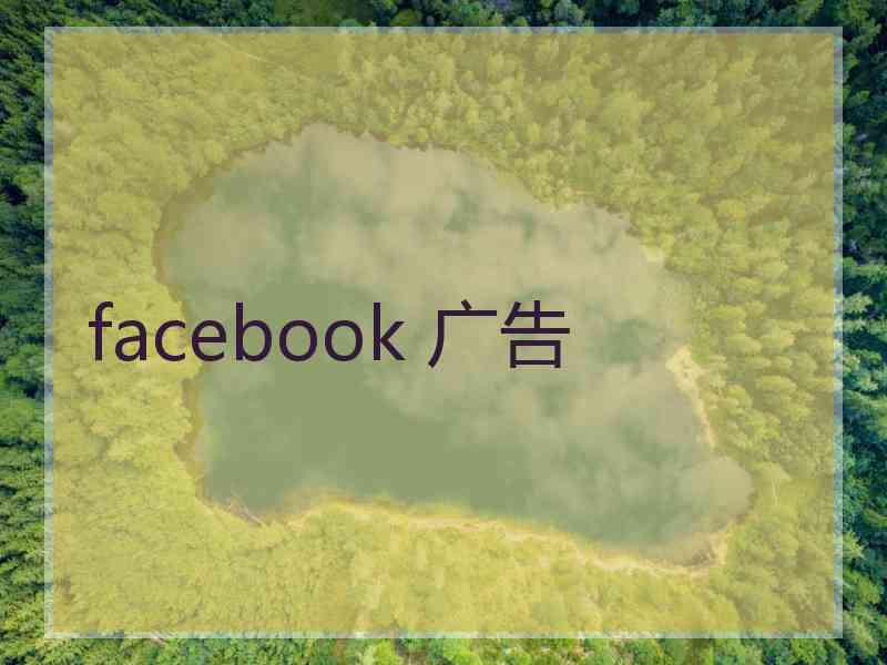 facebook 广告