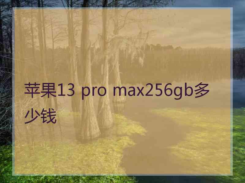 苹果13 pro max256gb多少钱