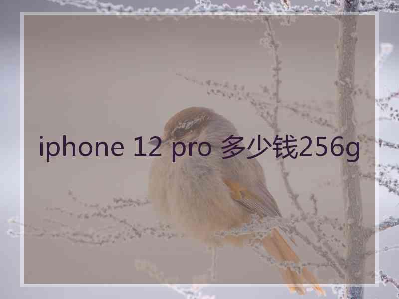 iphone 12 pro 多少钱256g