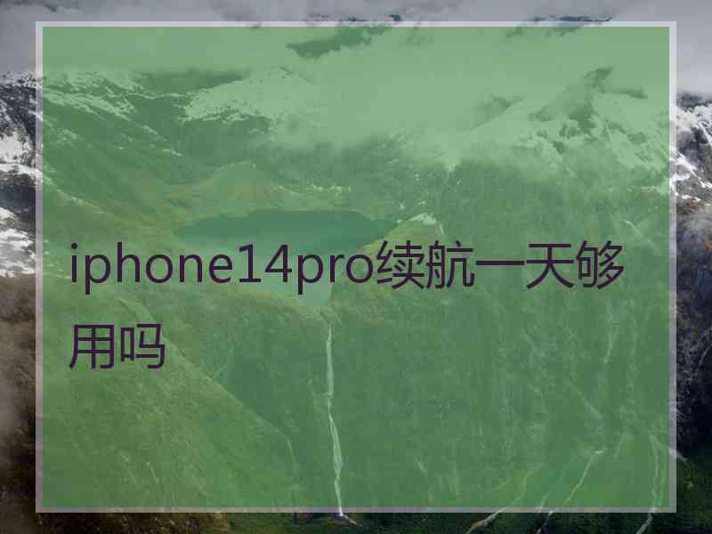 iphone14pro续航一天够用吗