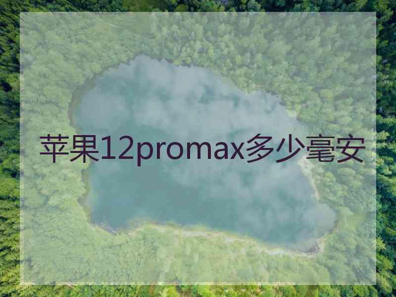 苹果12promax多少毫安