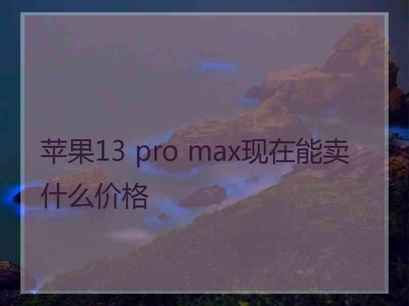 苹果13 pro max现在能卖什么价格