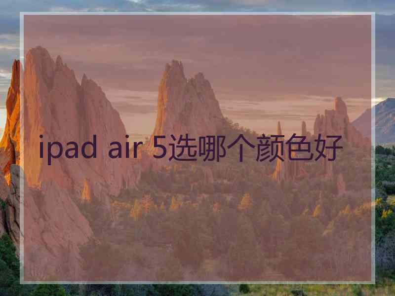 ipad air 5选哪个颜色好