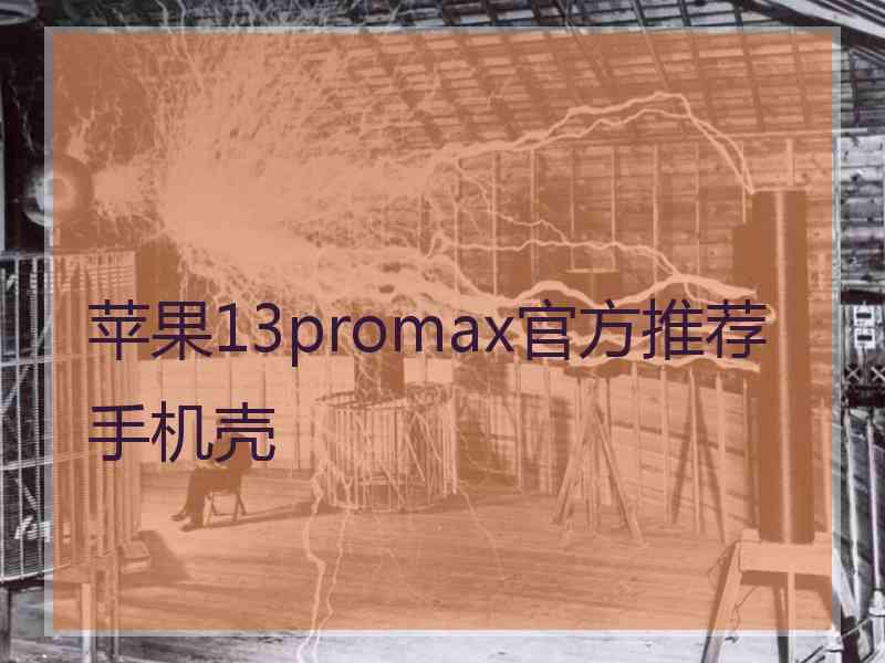 苹果13promax官方推荐手机壳