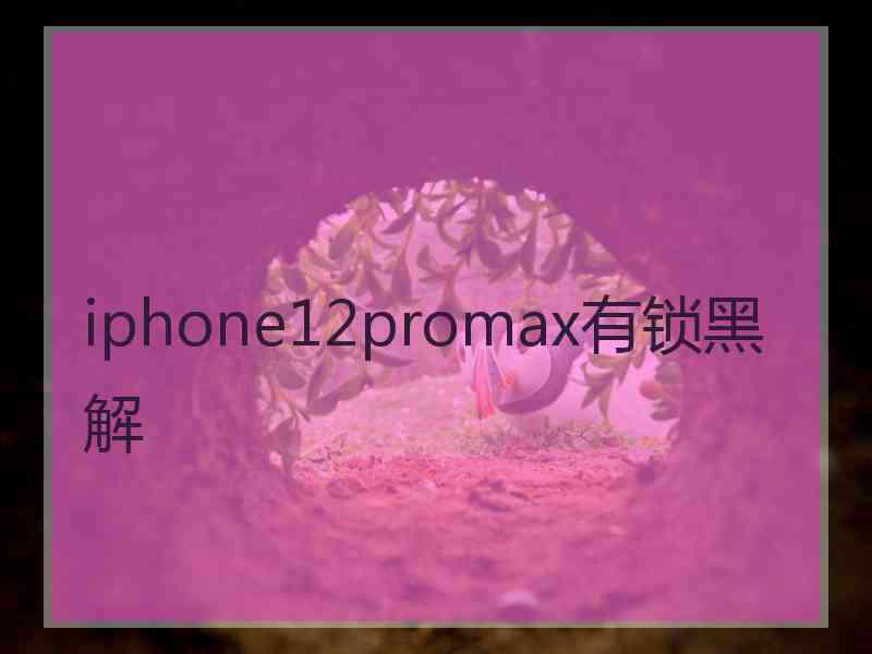 iphone12promax有锁黑解