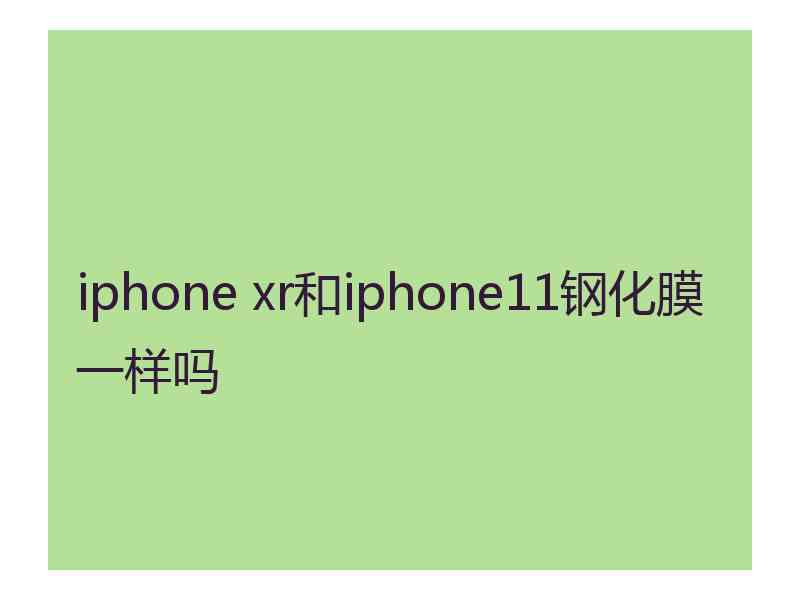 iphone xr和iphone11钢化膜一样吗