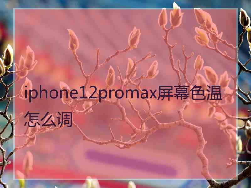 iphone12promax屏幕色温怎么调