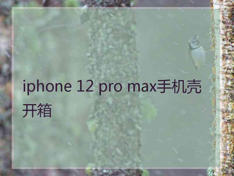 iphone 12 pro max手机壳开箱