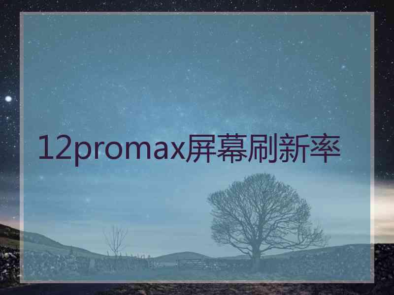 12promax屏幕刷新率