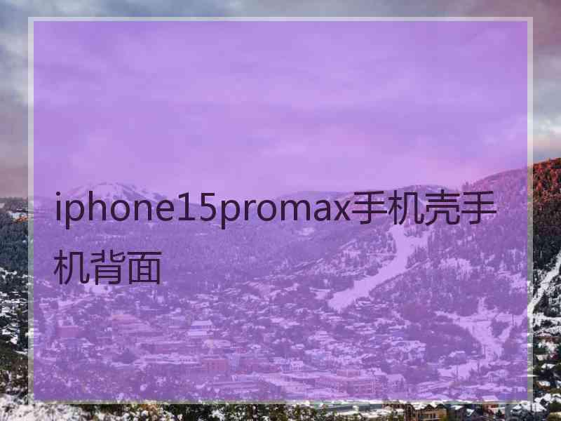 iphone15promax手机壳手机背面