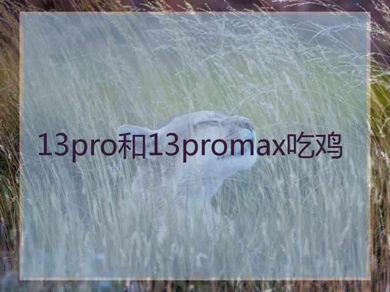 13pro和13promax吃鸡