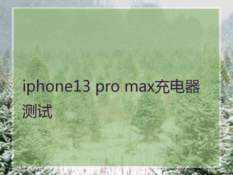 iphone13 pro max充电器测试