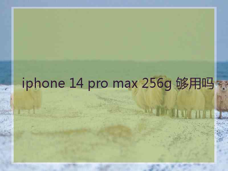 iphone 14 pro max 256g 够用吗