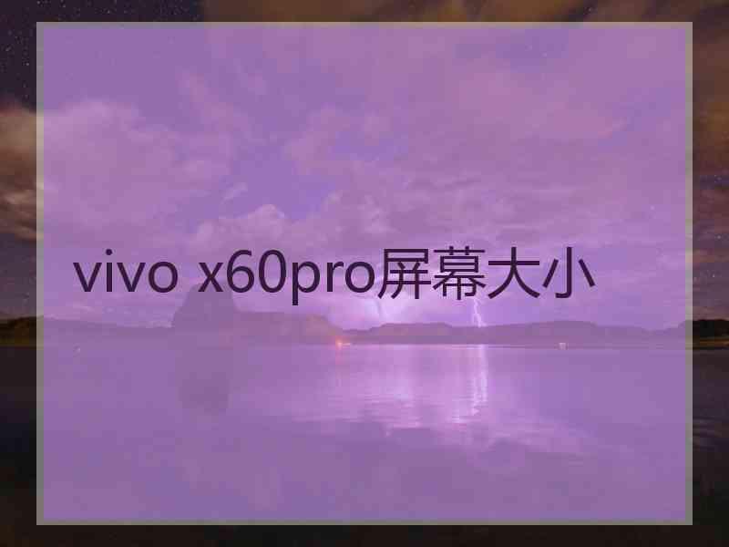 vivo x60pro屏幕大小