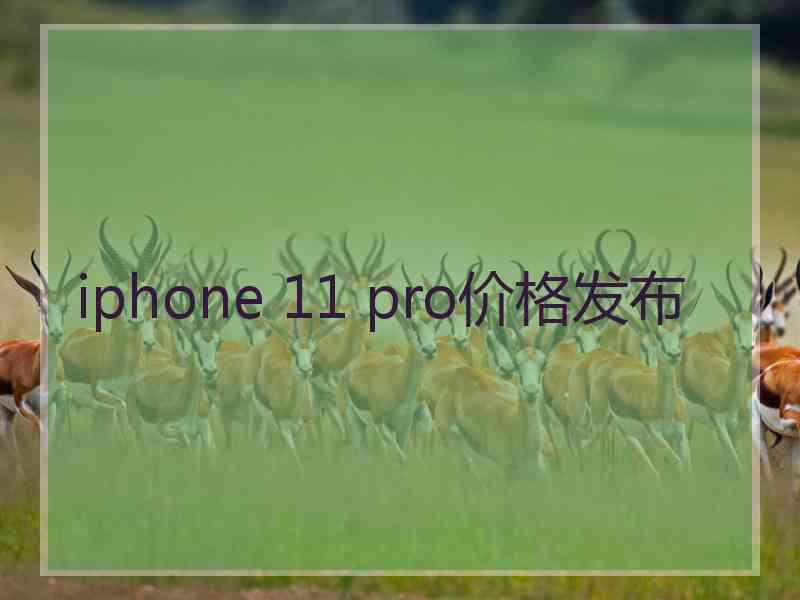 iphone 11 pro价格发布