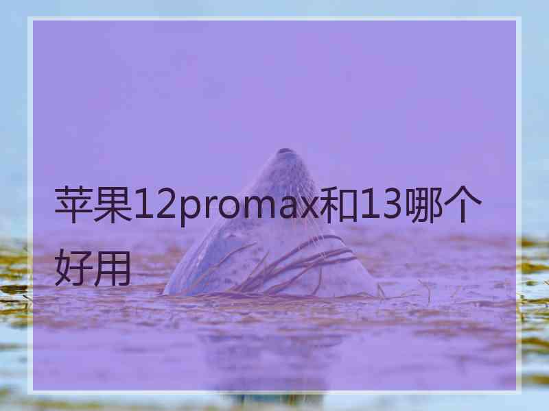 苹果12promax和13哪个好用