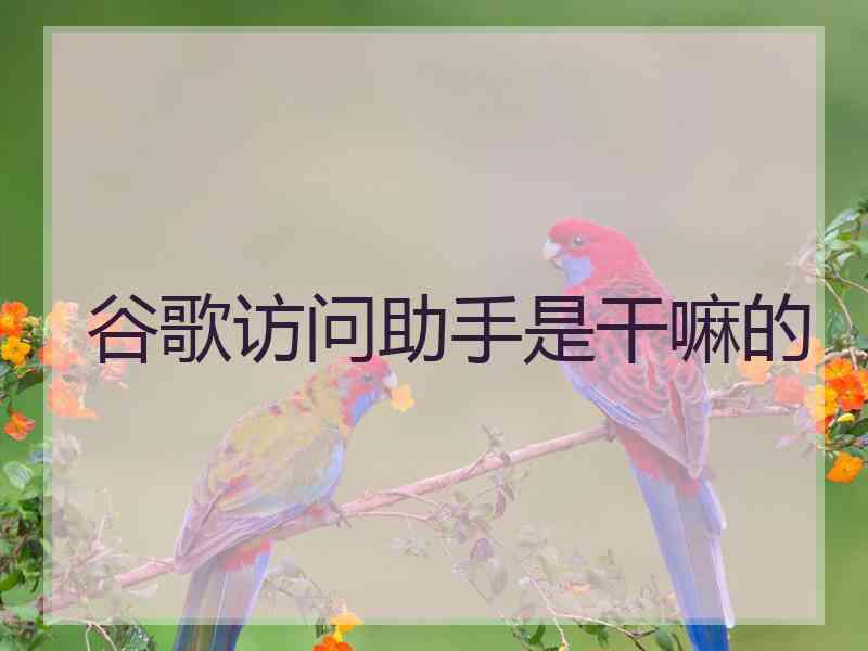 谷歌访问助手是干嘛的