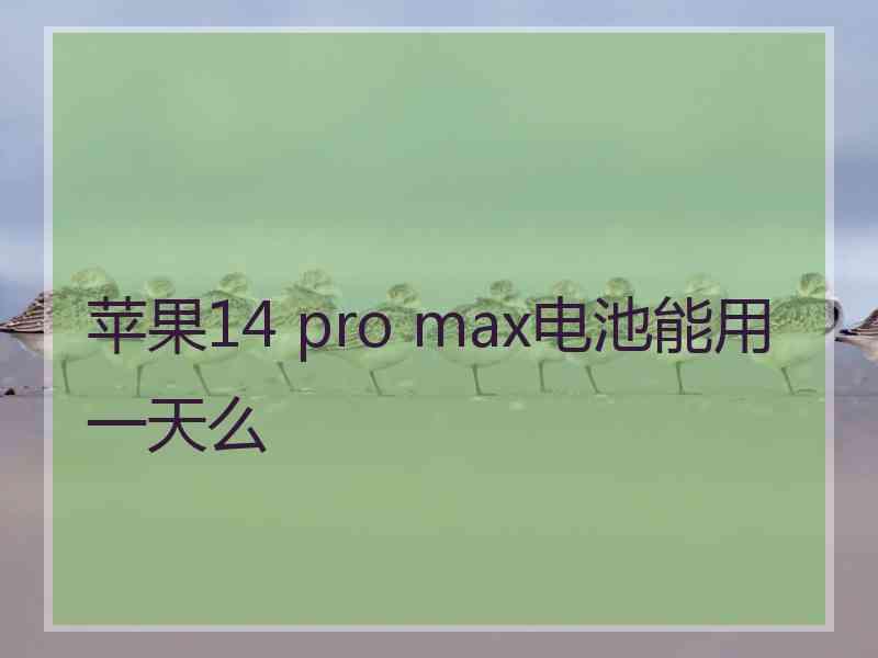 苹果14 pro max电池能用一天么