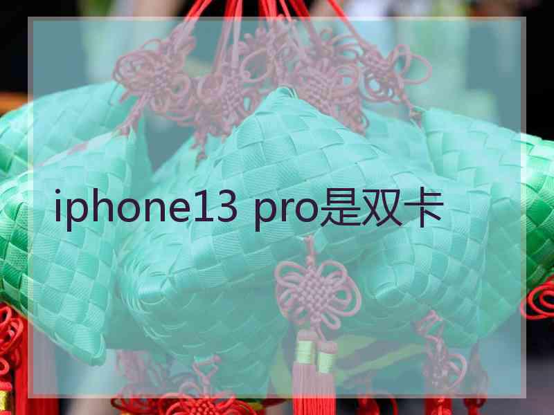 iphone13 pro是双卡