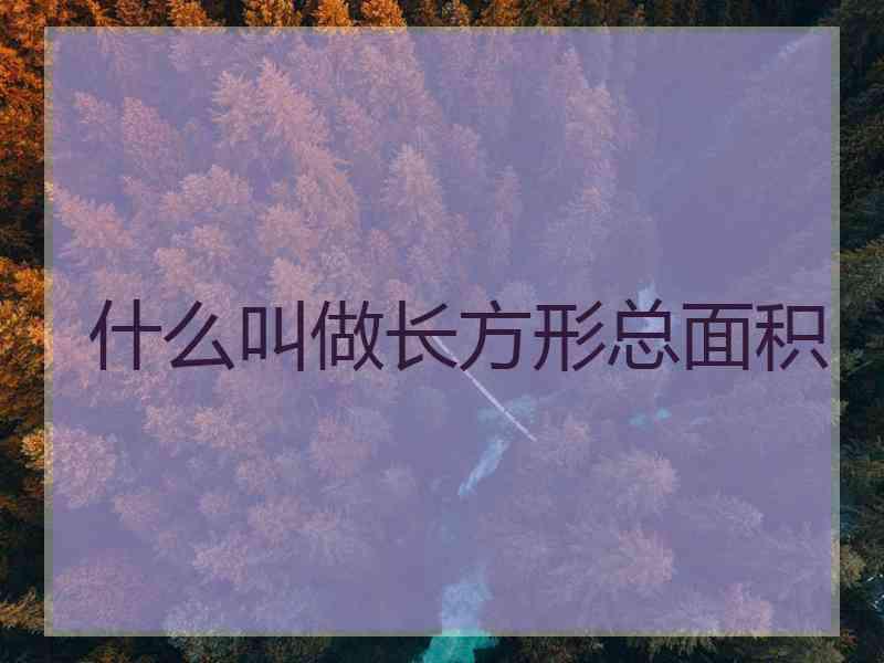 什么叫做长方形总面积