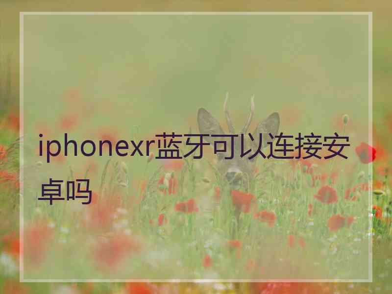 iphonexr蓝牙可以连接安卓吗