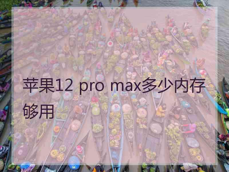 苹果12 pro max多少内存够用