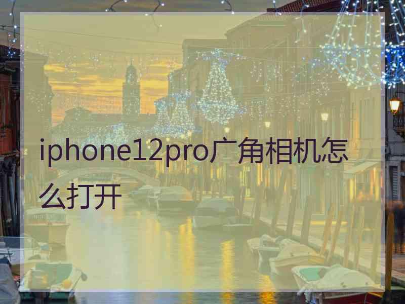 iphone12pro广角相机怎么打开