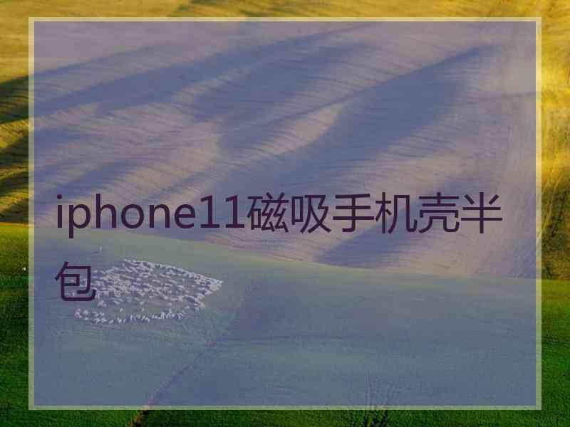 iphone11磁吸手机壳半包