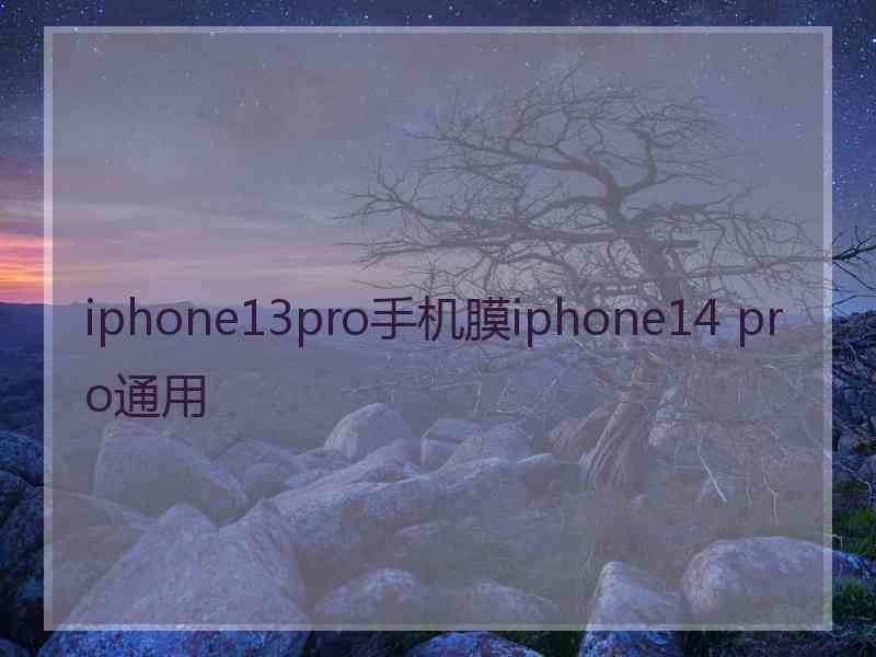 iphone13pro手机膜iphone14 pro通用