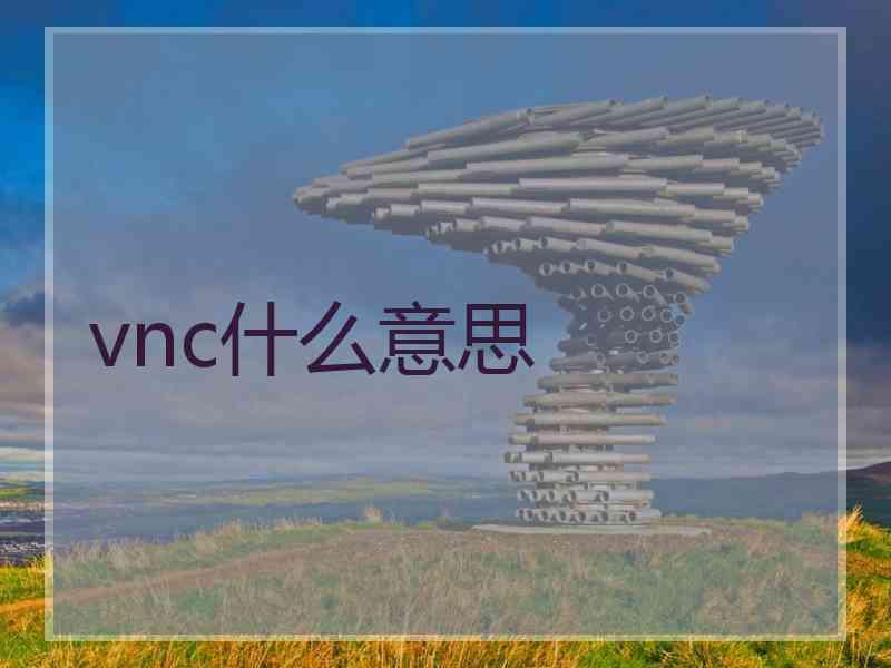 vnc什么意思