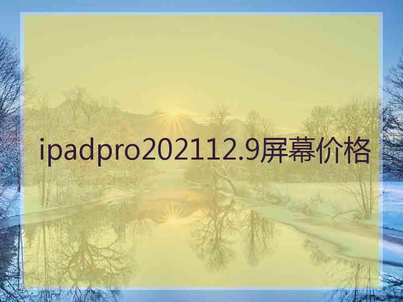 ipadpro202112.9屏幕价格