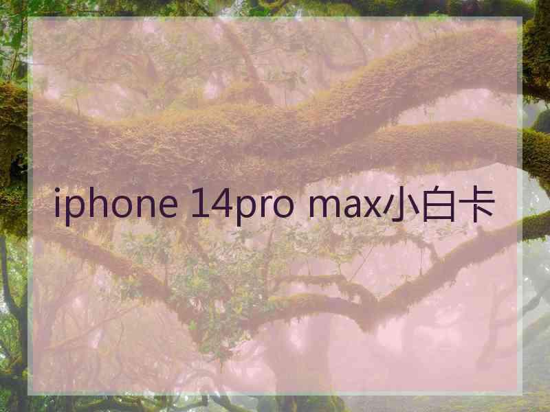 iphone 14pro max小白卡