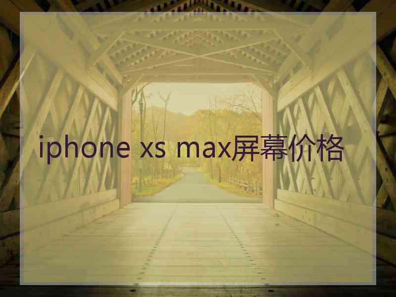 iphone xs max屏幕价格