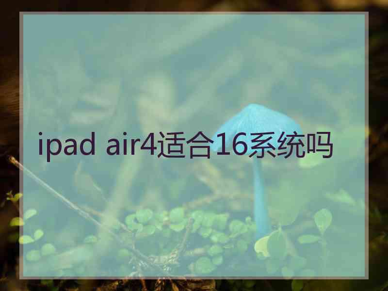 ipad air4适合16系统吗