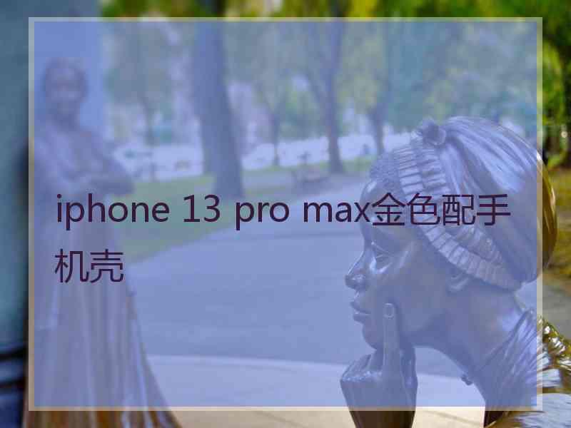 iphone 13 pro max金色配手机壳