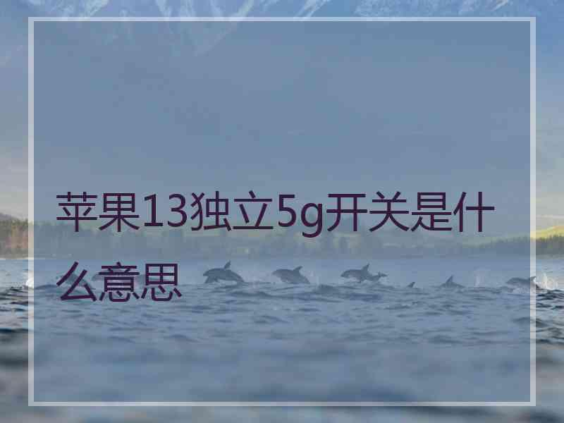 苹果13独立5g开关是什么意思