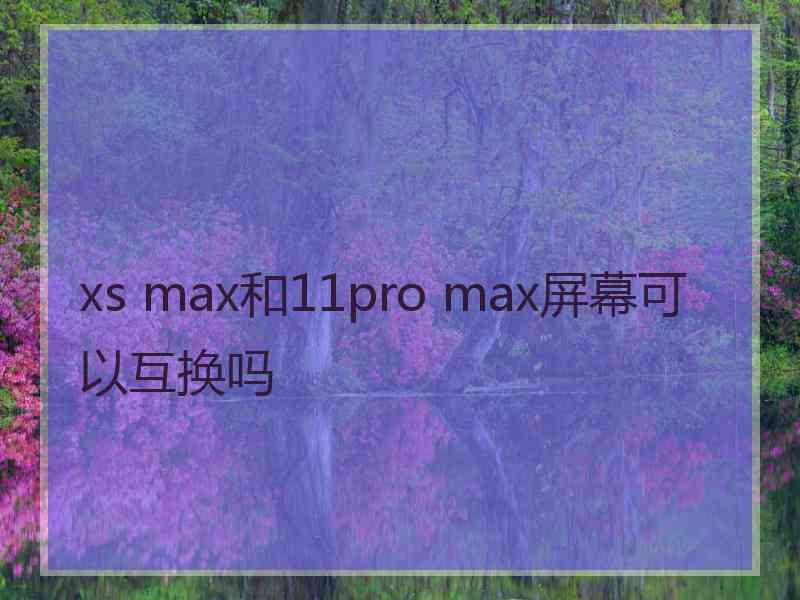 xs max和11pro max屏幕可以互换吗