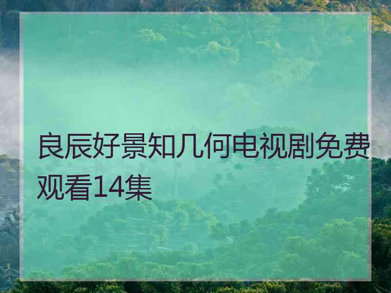 良辰好景知几何电视剧免费观看14集