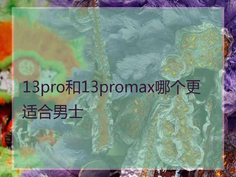 13pro和13promax哪个更适合男士