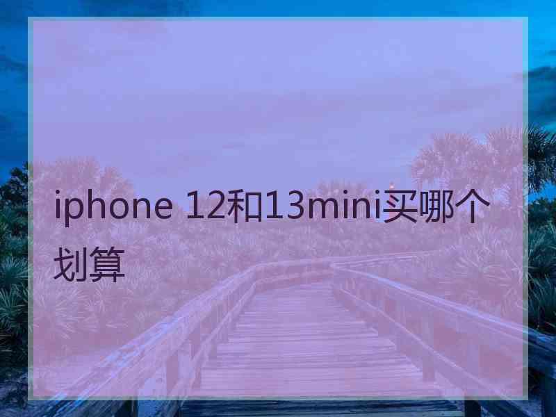 iphone 12和13mini买哪个划算