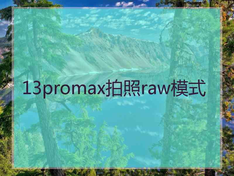 13promax拍照raw模式