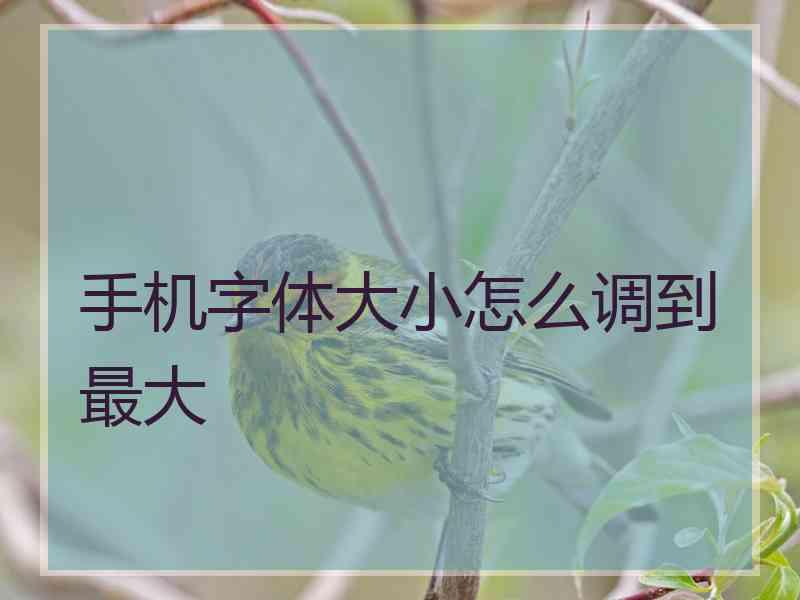 手机字体大小怎么调到最大