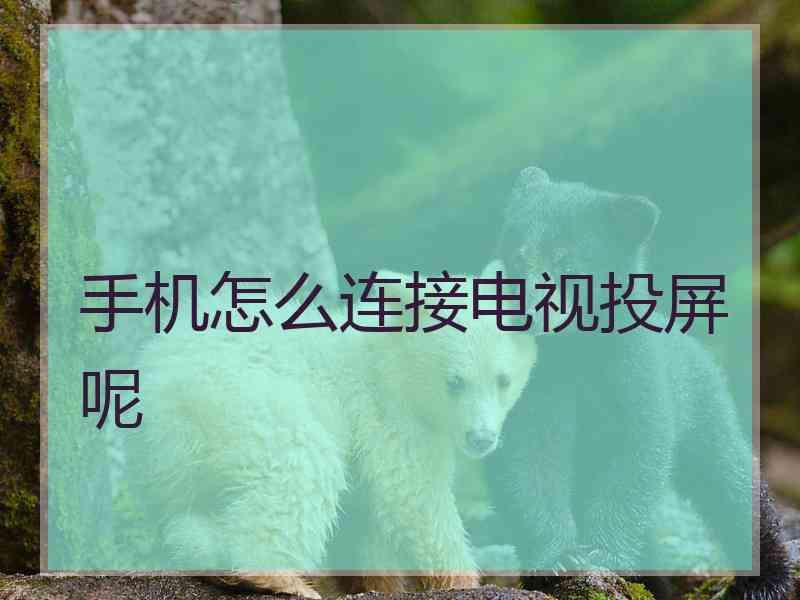 手机怎么连接电视投屏呢