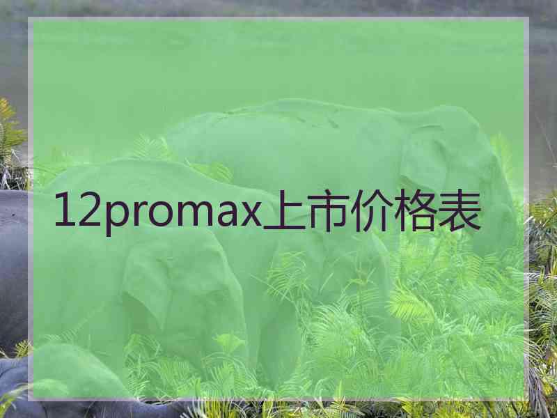 12promax上市价格表