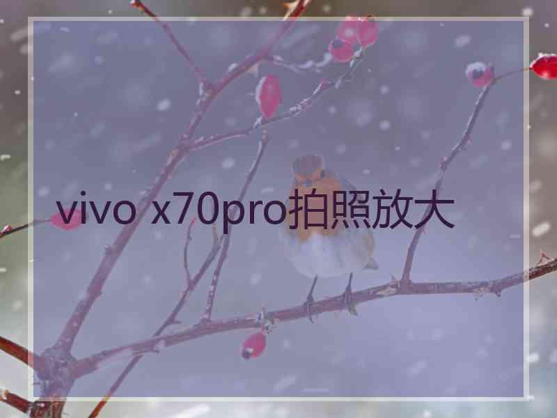 vivo x70pro拍照放大